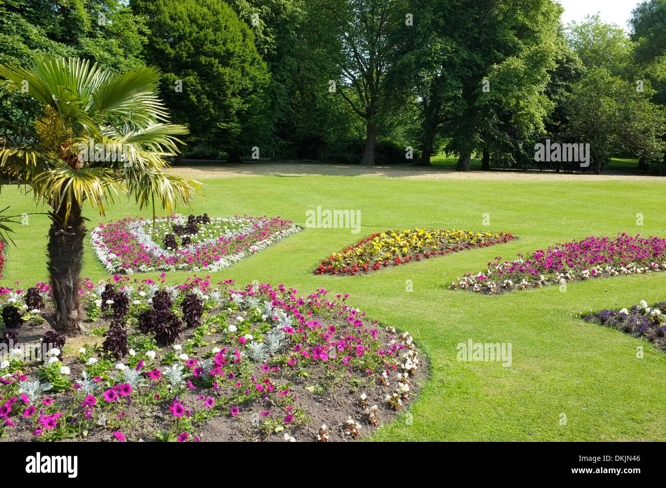 Blumenbeete in Roundhay Park, Leeds Stockfoto