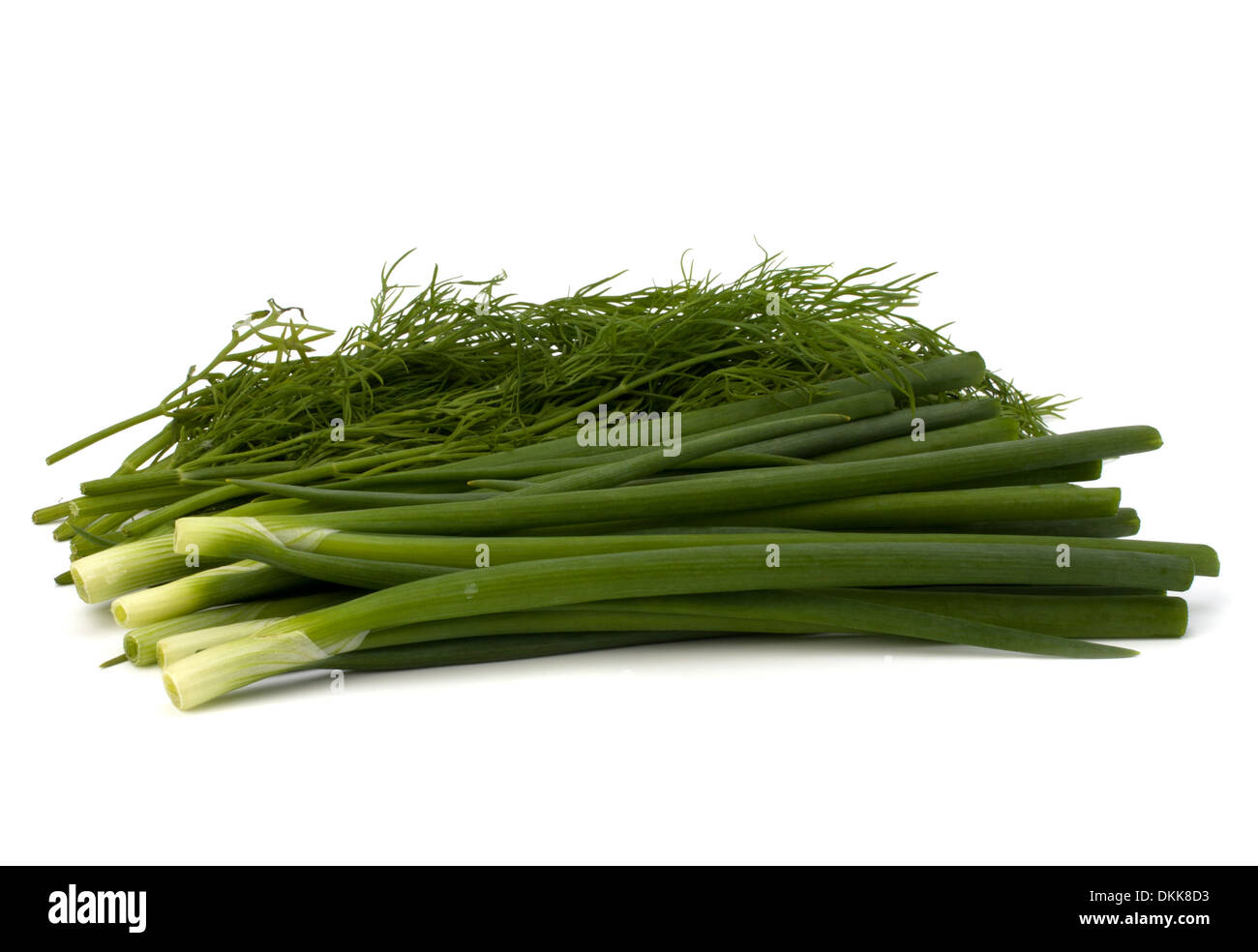 Dill und jungen Zwiebeln isoliert auf weißem Hintergrund Stockfoto