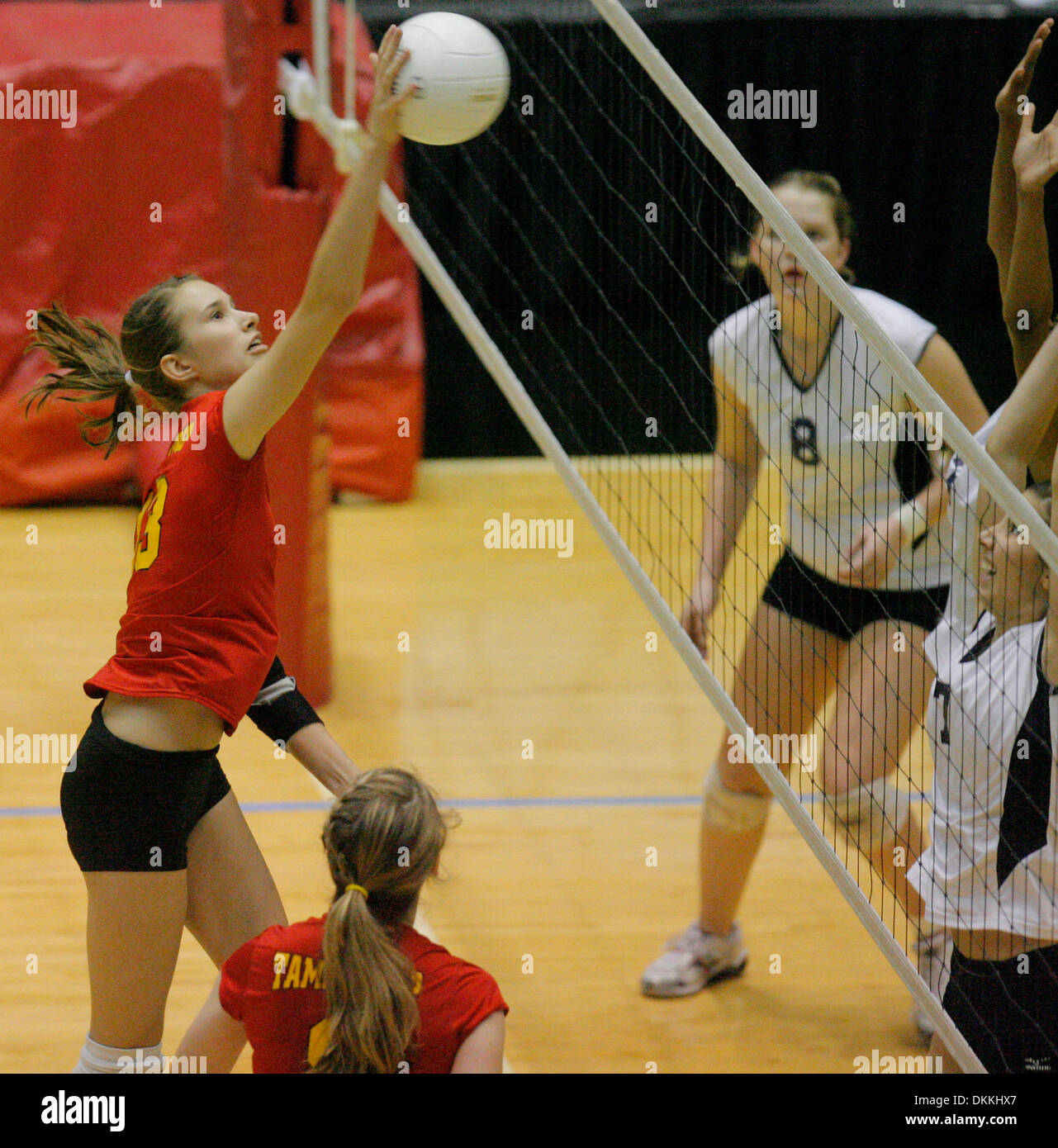 CHRIS ZUPPA |   Times.OT 313695 ZUPP Volleyball 7. (19.11.2009 Lakeland) Tampa Prep Katie Krueger spikes den Ball. Tampa-Prep spielt Maclay in das semi-final-Turnier am Lakeland Center. [CHRIS ZUPPA, mal] (Kredit-Bild: © St. Petersburg Times/ZUMApress.com) Stockfoto