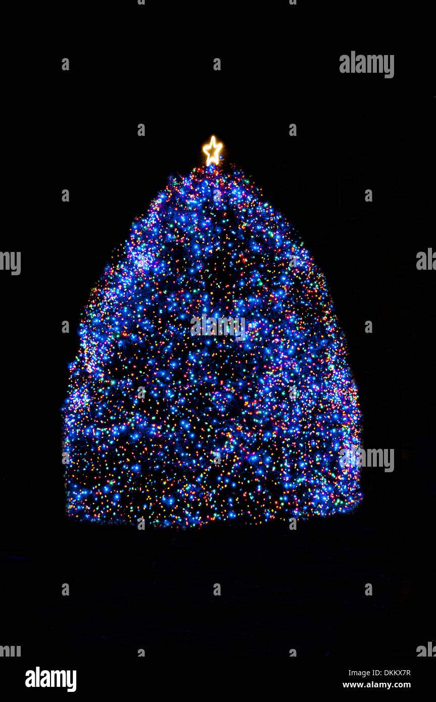 Idaho Zustand-Weihnachtsbaum - 2013; Boise, Idaho, USA Stockfoto