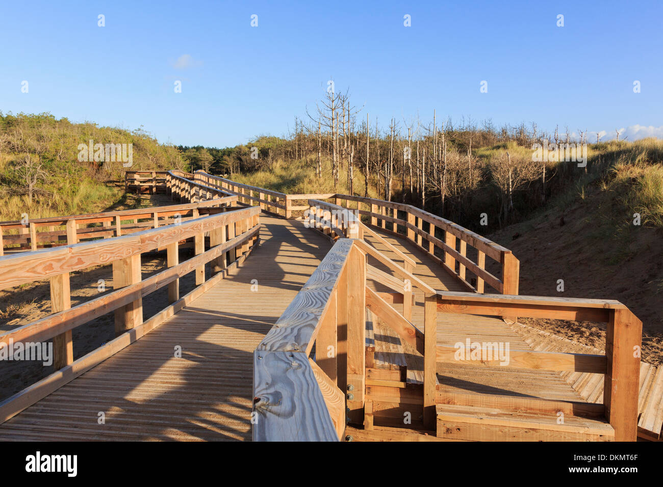 Neuen Holzsteg führt vom Strand zum Parkplatz in Newborough Wald, Isle of Anglesey, North Wales, UK, Großbritannien Stockfoto