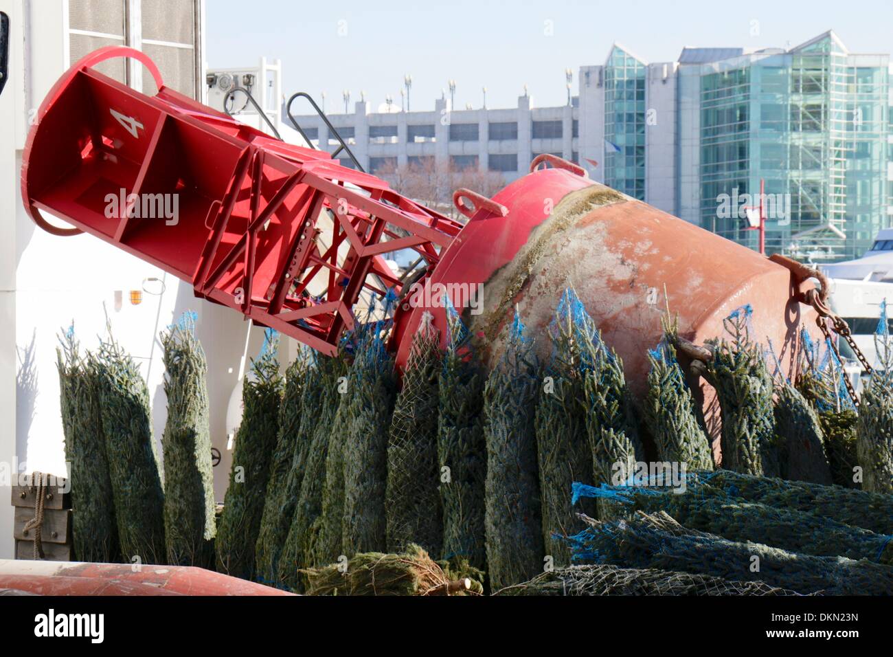 Chicago, Illinois USA. 7. Dezember 2013. Einige der Ladung von 1200 angedockt Weihnachtsbäume auf dem Deck von der Coast Guard Cutter Mackinaw am Navy Pier. Die Bäume werden für sozial schwache Familien weitergegeben. Die Veranstaltung ist im Speicher des Schoners Rouse Simmons, das ursprüngliche Weihnachtsbaum Schiff verloren mit allen Händen während eines Sturms am 23. November 1912. Bildnachweis: Todd Bannor/Alamy Live-Nachrichten Stockfoto