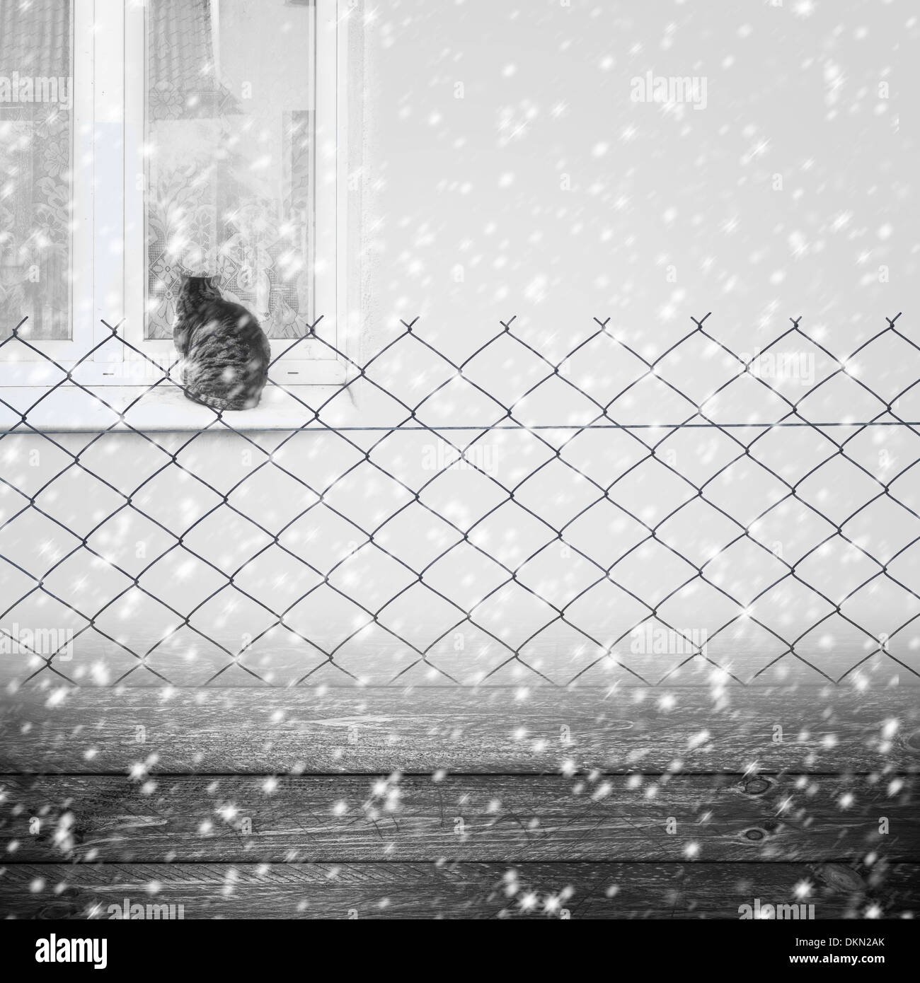 Winter Hintergrund mit einem Drahtzaun und eine Katze auf das Fenster. Fallender Schnee Stockfoto