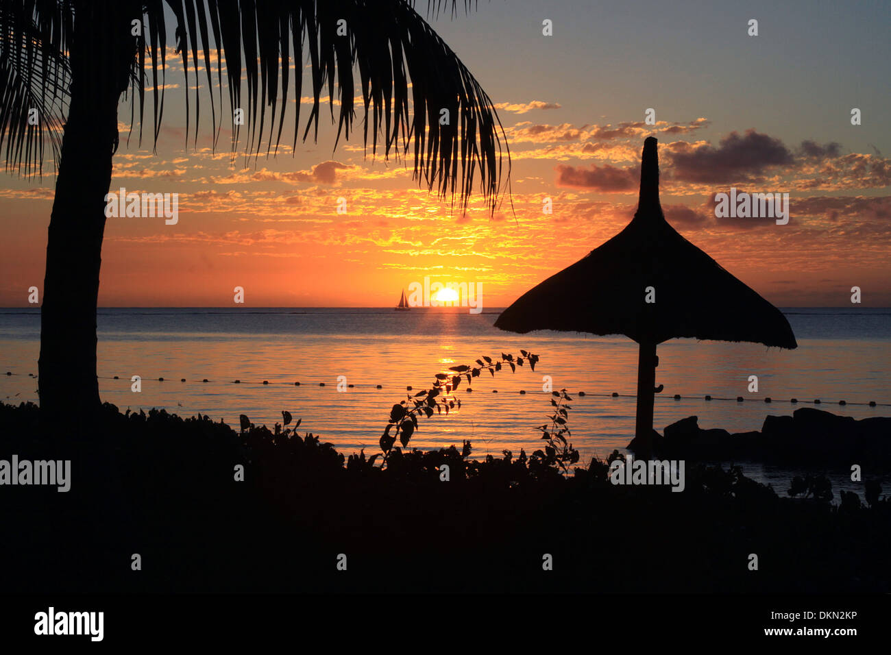 Sonnenuntergang Mauritius Strand Palm Segeln Silhouette Stockfoto