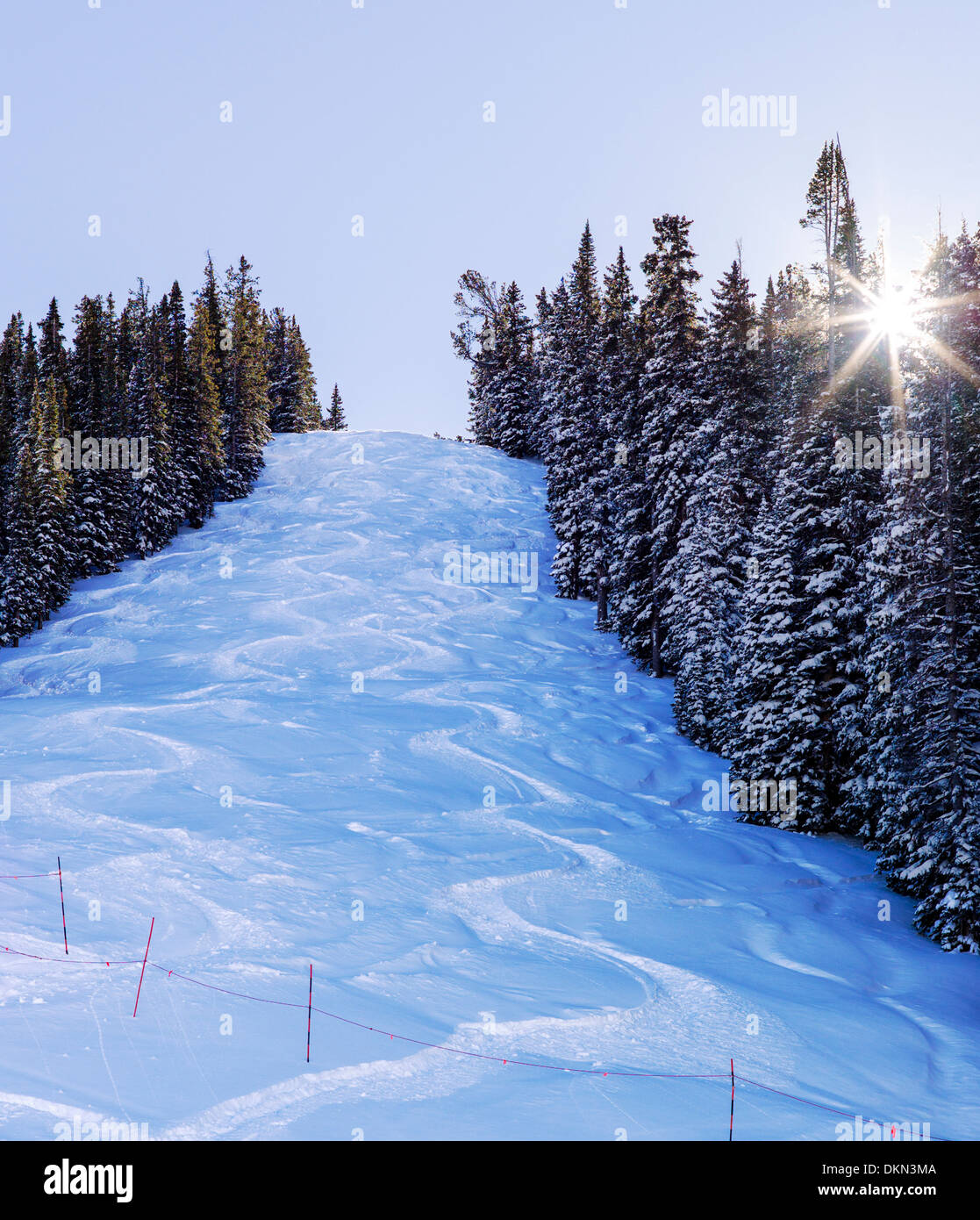 20' frischen Pulverschnee auf Gunbarrel Trail, Monarch Mountain-Ski & Snowboard resort an der kontinentalen Wasserscheide in Colorado, USA Stockfoto