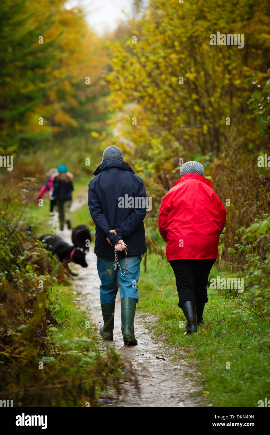 Herbst am Nachmittag, Passanten mit ihren Hunden in Waldgebieten außerhalb Knighton Powys Wales UK Stockfoto