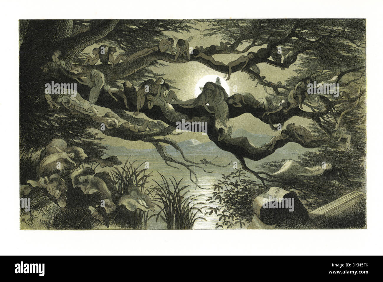 Elfen und Feen, Eulen und Eichhörnchen, schlafend in einem Baum im Mondschein. Stockfoto