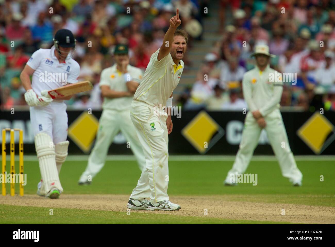 Adelaide, Südaustralien. 8. Dezember 2013.  RYAN HARRIS - Aktion vom 2. Asche Test Match spielte in Adelaide Oval. Bildnachweis: Europäische Sportnachrichten fotografische Agentur/Alamy Live Stockfoto