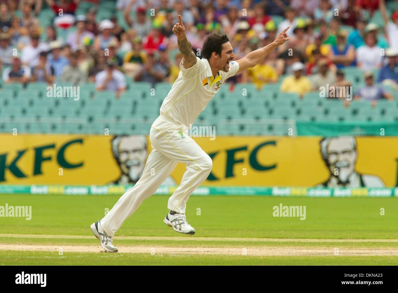 Adelaide, Südaustralien. 8. Dezember 2013.  MITCHELL JOHNSON - Aktion vom 2. Asche Test Match spielte in Adelaide Oval. Bildnachweis: Europäische Sportnachrichten fotografische Agentur/Alamy Live Stockfoto