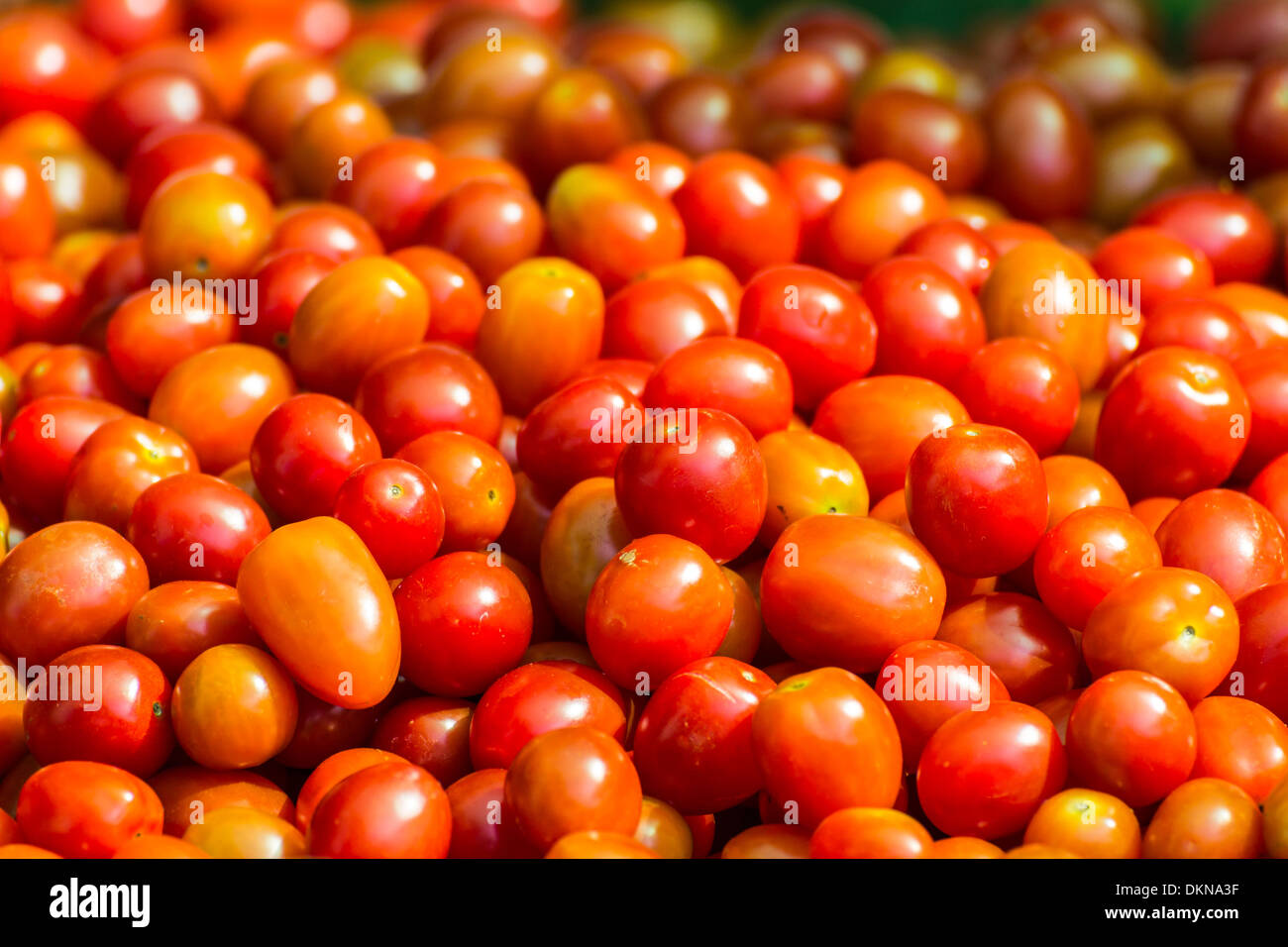 Tomaten auf einem Bauernmarkt Stockfoto