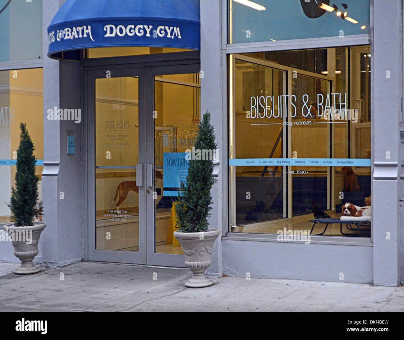 Das äußere des Kekse & Bad Dog Spa und Fitness-Studio im West Village von Manhattan in New York City Stockfoto
