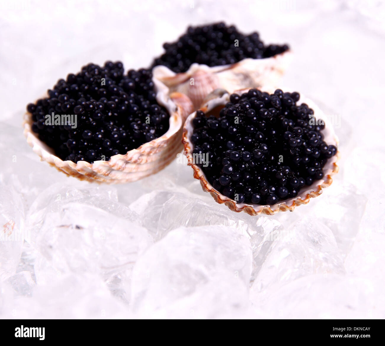 Drei Schale mit schwarzem Kaviar auf Eis, Nahaufnahme Stockfoto