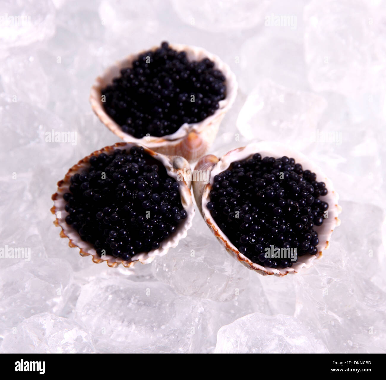 Drei Schale mit schwarzem Kaviar auf Eis, Ansicht von oben Stockfoto