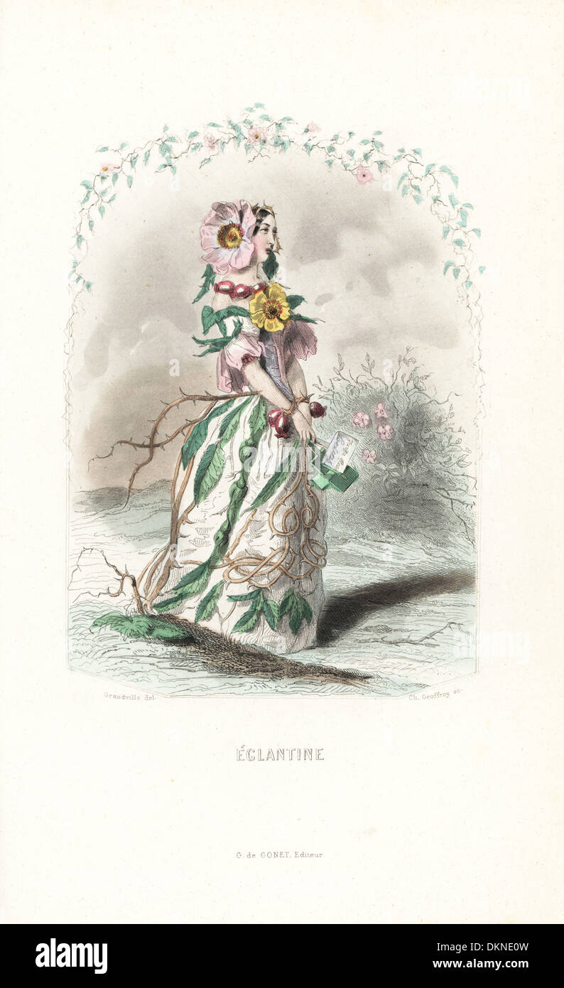 Eglantine rose Blume Fee Kleid von Blumen, Blättern und Dornen. Stockfoto