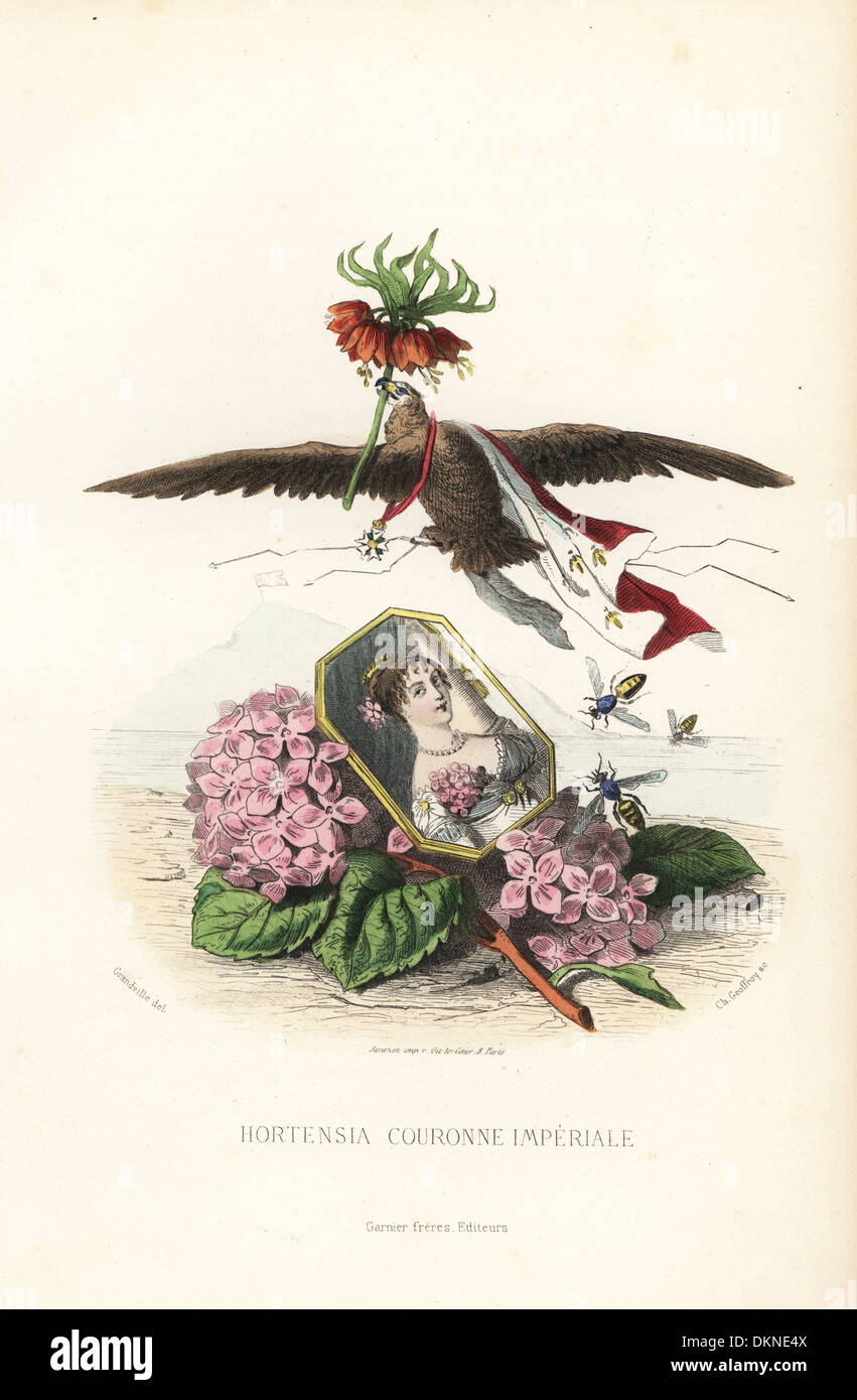 Symbolischen Darstellung der Hortensia und Crown imperial Blumen. Stockfoto