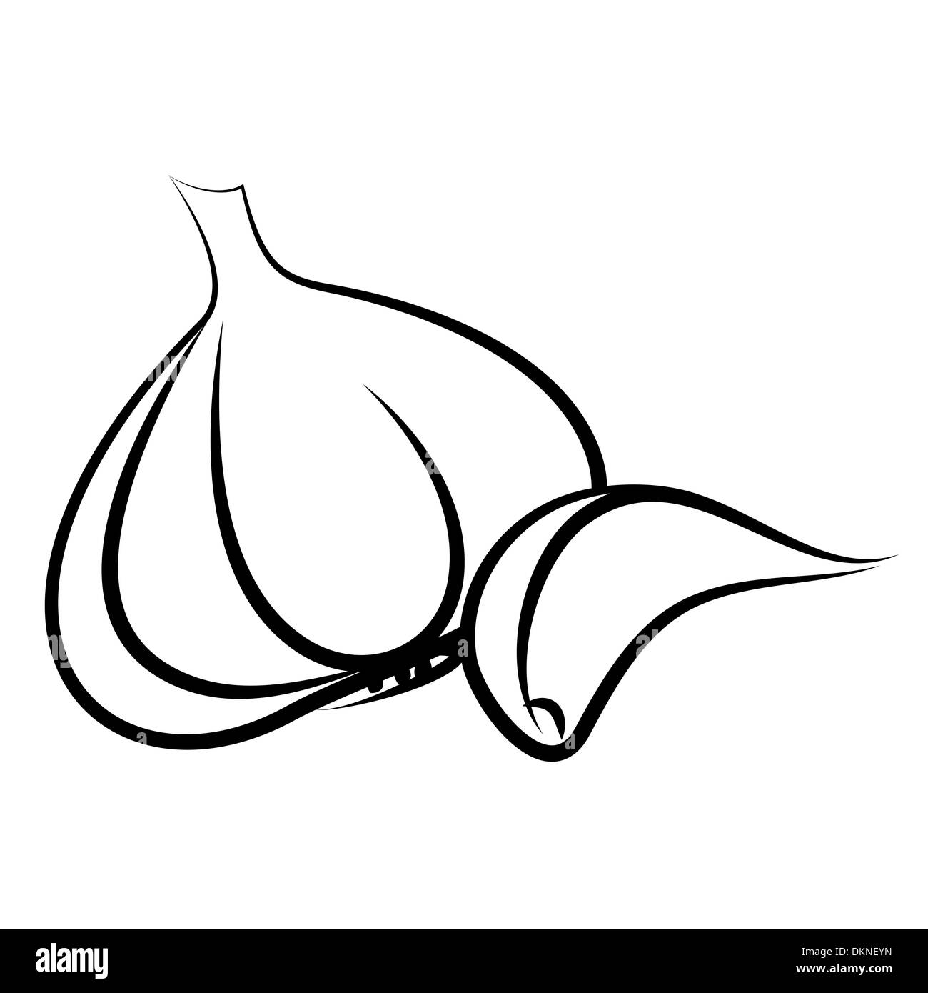 Knoblauch, isoliert auf weißem Hintergrund Stockfoto