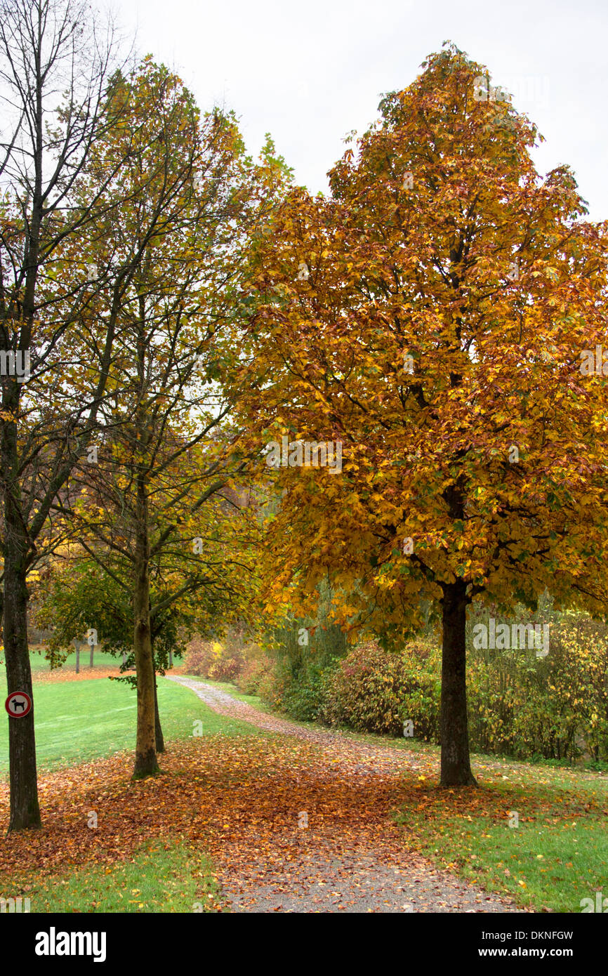 idyllische ländliche Herbstlandschaft im süddeutschen Raum Stockfoto