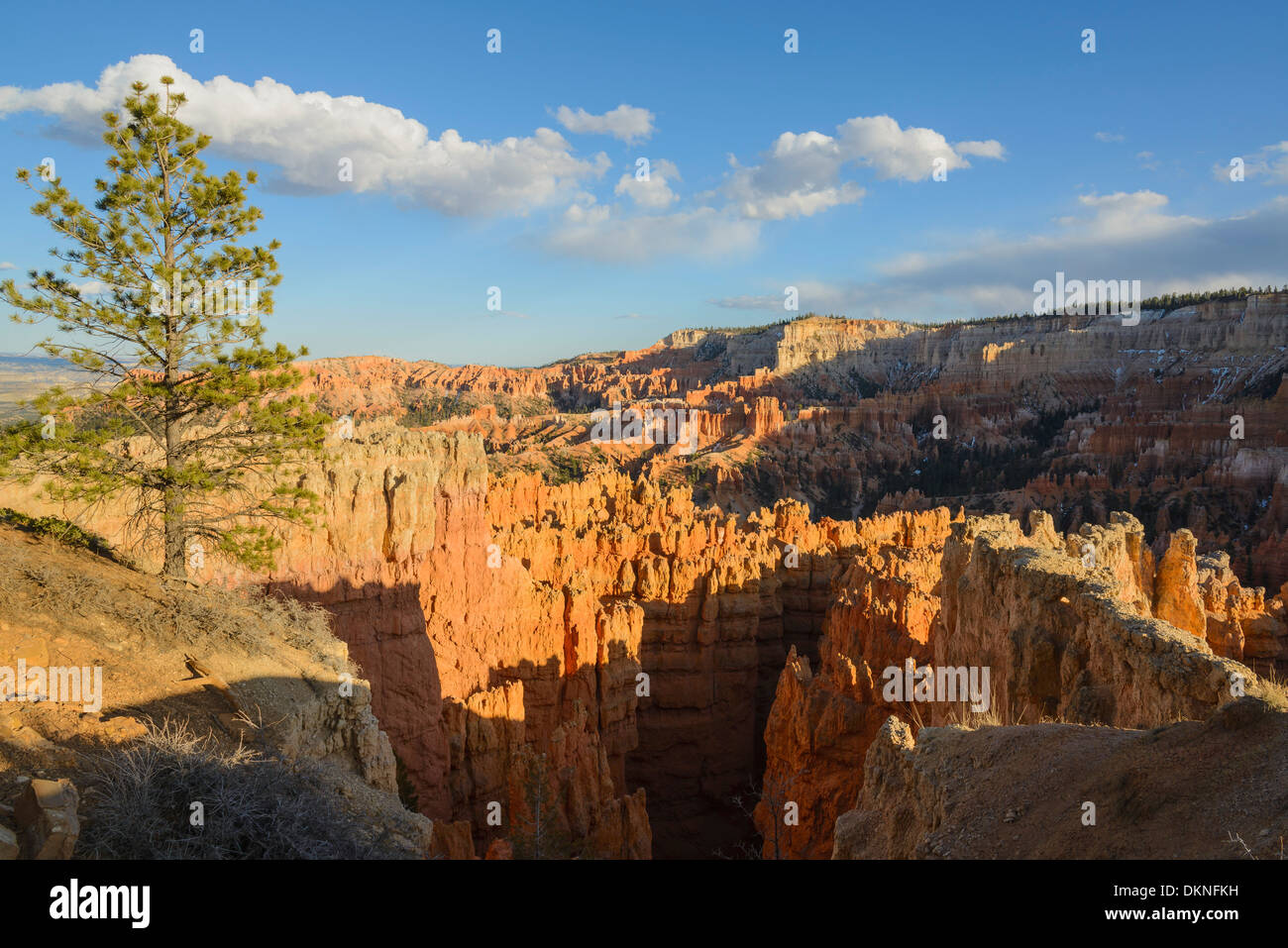 Bryce Canyon, Bryce-Canyon-Nationalpark, Utah, USA Stockfoto