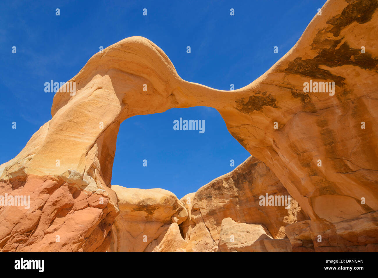 Metate Arch, Devils Garden, Grand Staircase Escalante National Monument in Utah Stockfoto