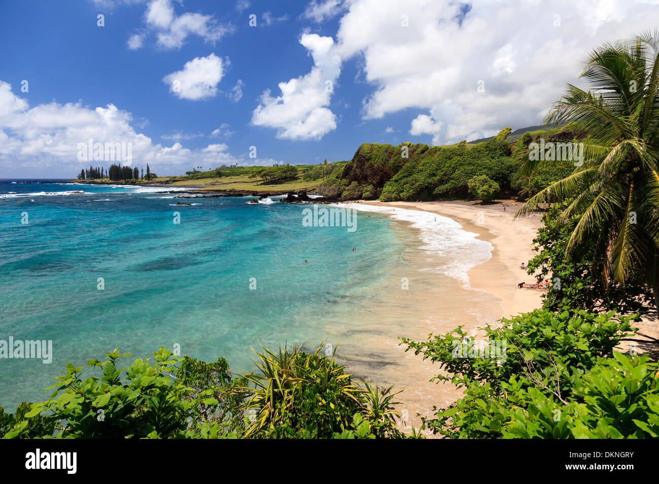 USA, Hawaii, Maui, Straße nach Hana, Küstenlandschaft in der Nähe von Keanae Halbinsel Stockfoto