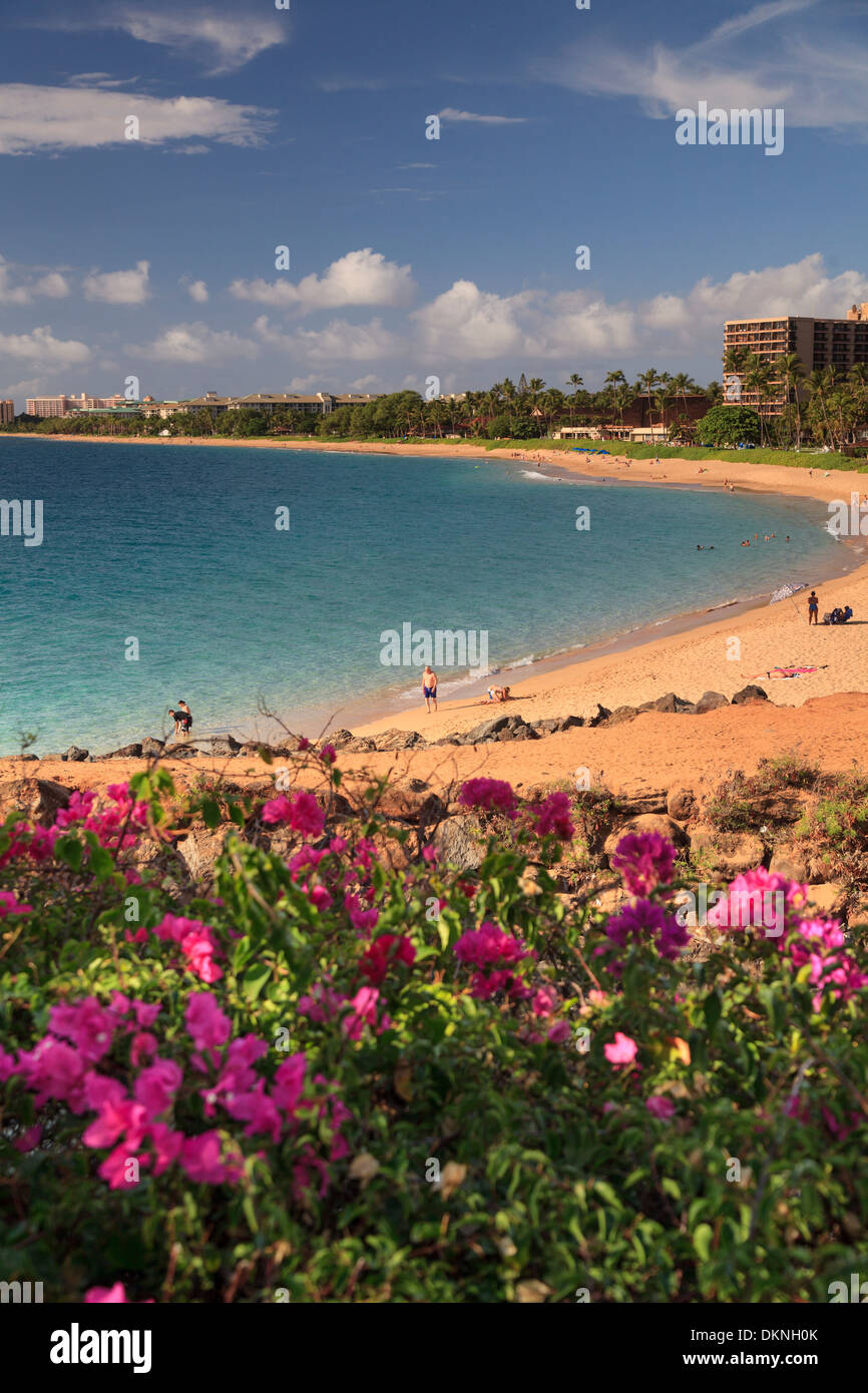 USA, Hawaii, Maui Kaanapali Beach Stockfoto