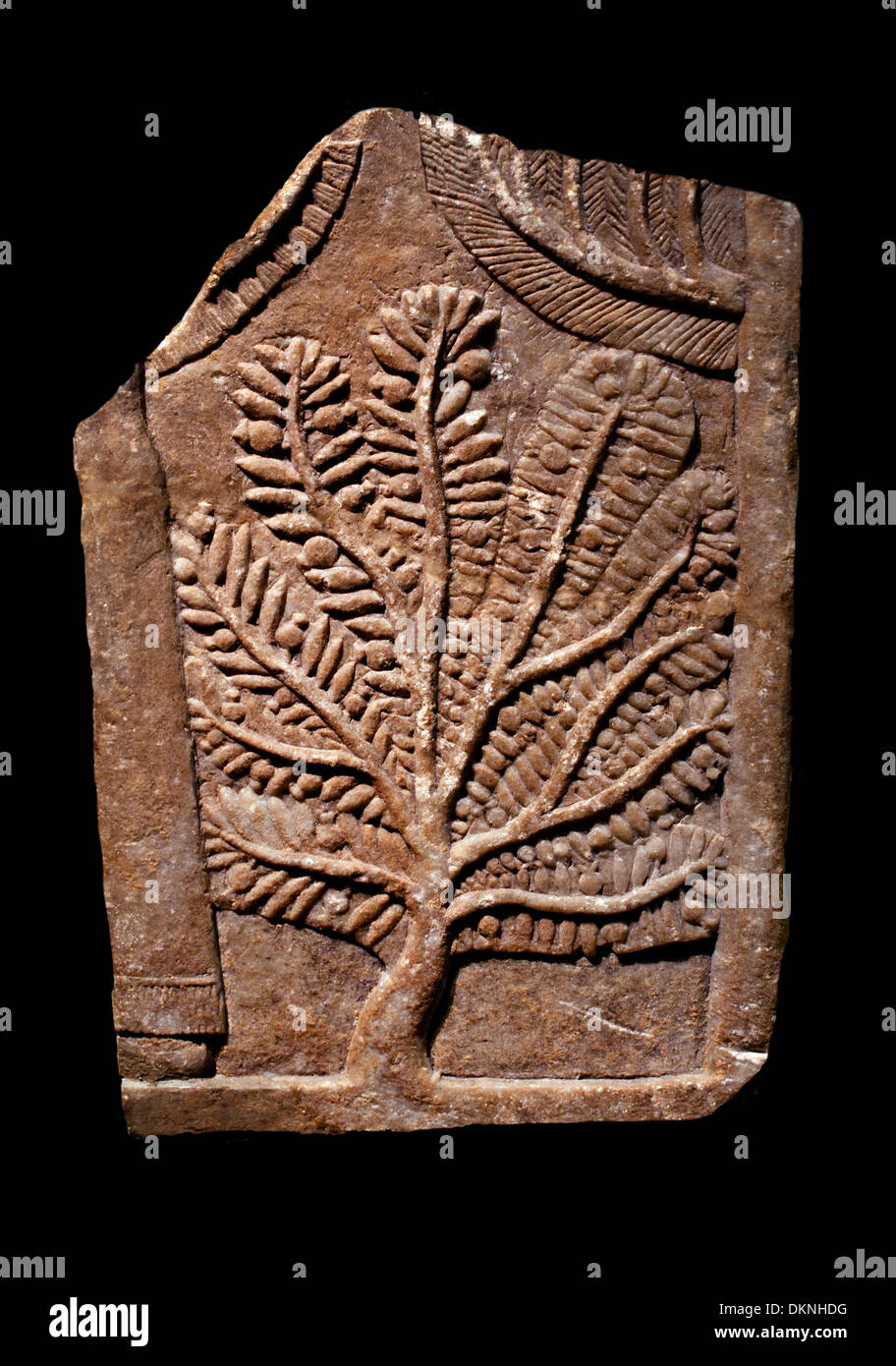 Relief Darstellung einen Granatapfel Baum Irak Ninive 669-627 v. Chr. Stockfoto