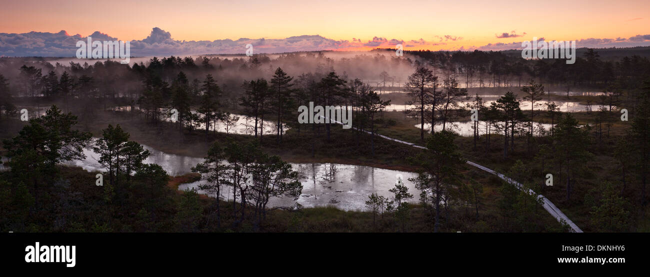 Neblige Sumpf-Landschaft bei Sonnenaufgang am Morgen Stockfoto