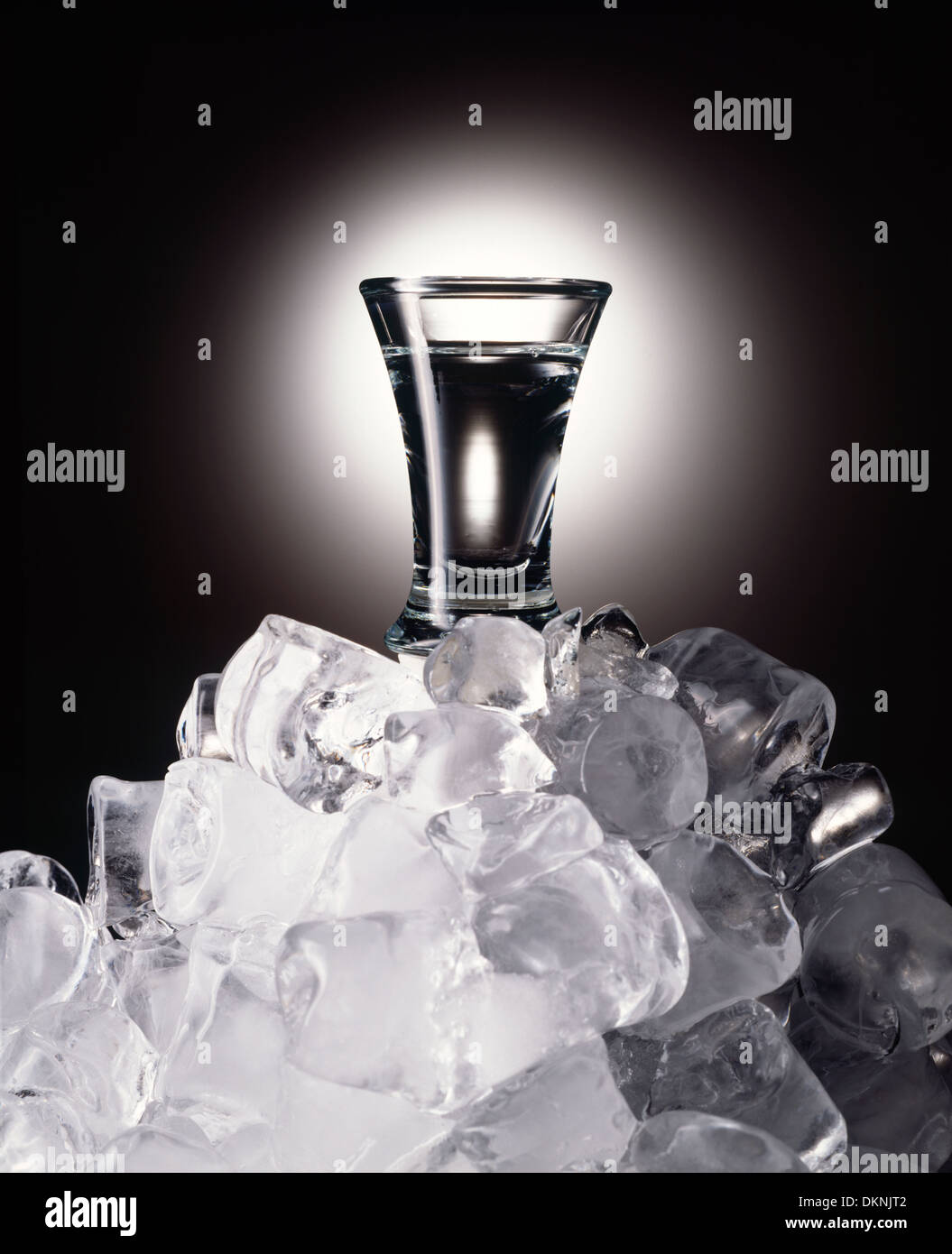 Ein Schnapsglas mit Wodka auf einem Stapel von Eis mit einem runden, sanftes Licht dahinter auf einem grauen Studium auf schwarzen Hintergrund. Stockfoto