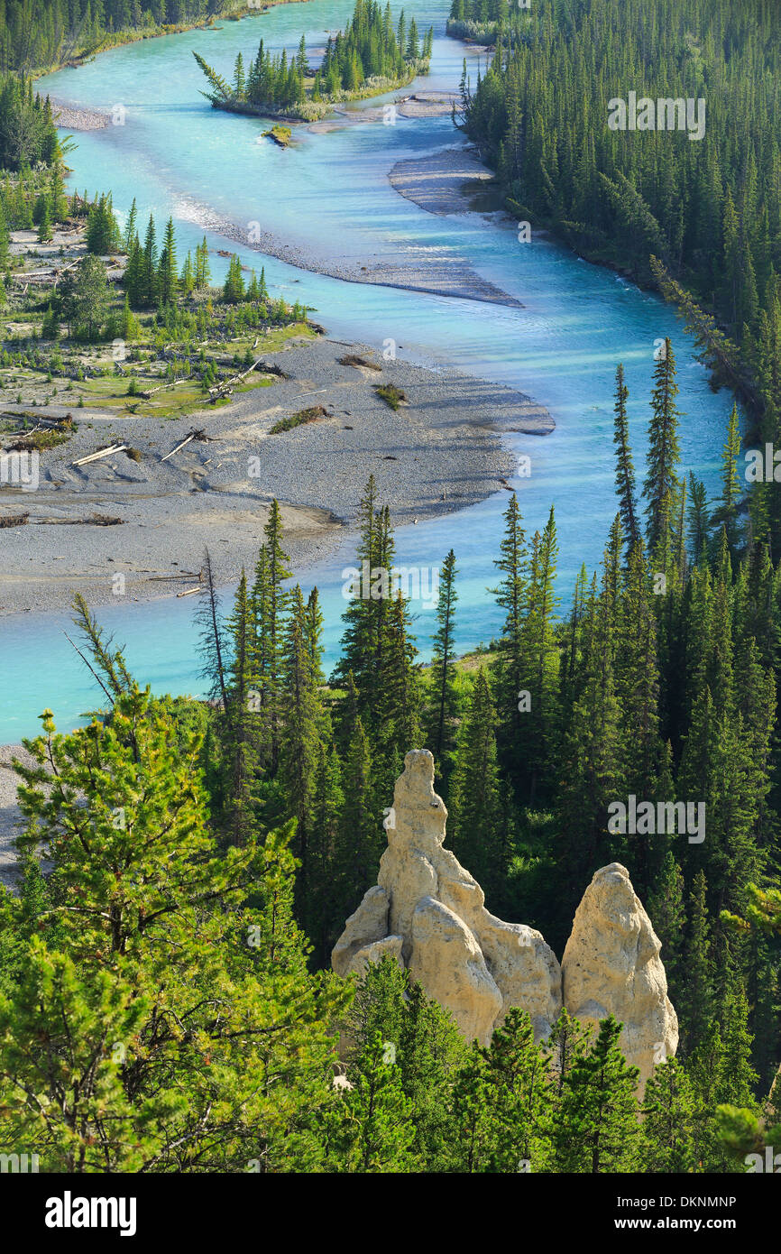 Hoodoos im Bow River Valley, Banff Nationalpark, Alberta, Kanada Stockfoto