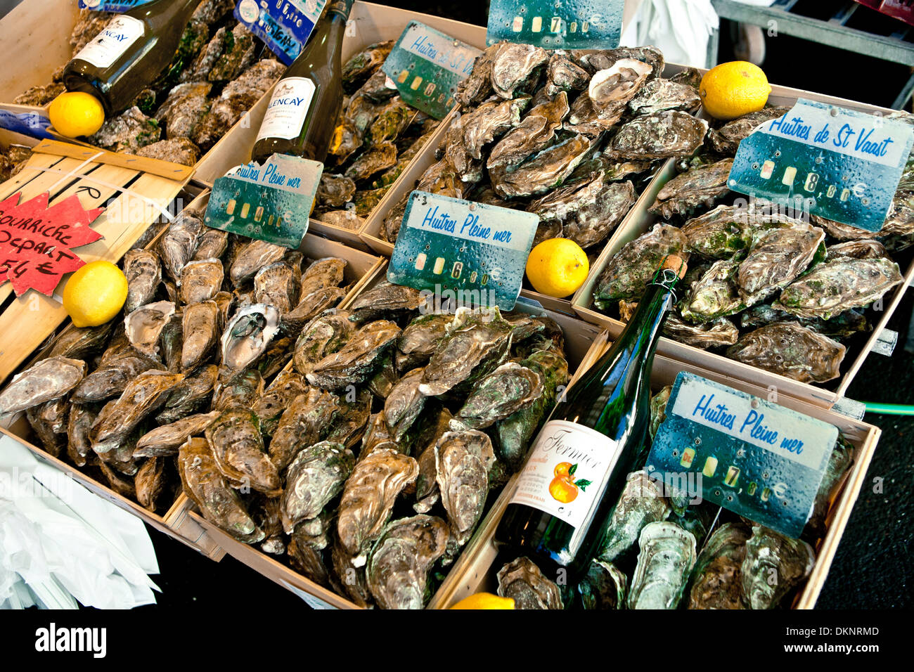 Fisch und Meeresfrüchte. Trouville Stadt, Normandie, Frankreich Stockfoto