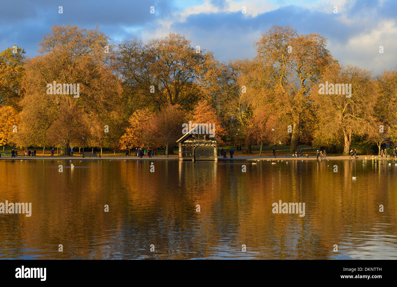 Serpentine im Herbst, Hyde Park, London, Vereinigtes Königreich Stockfoto