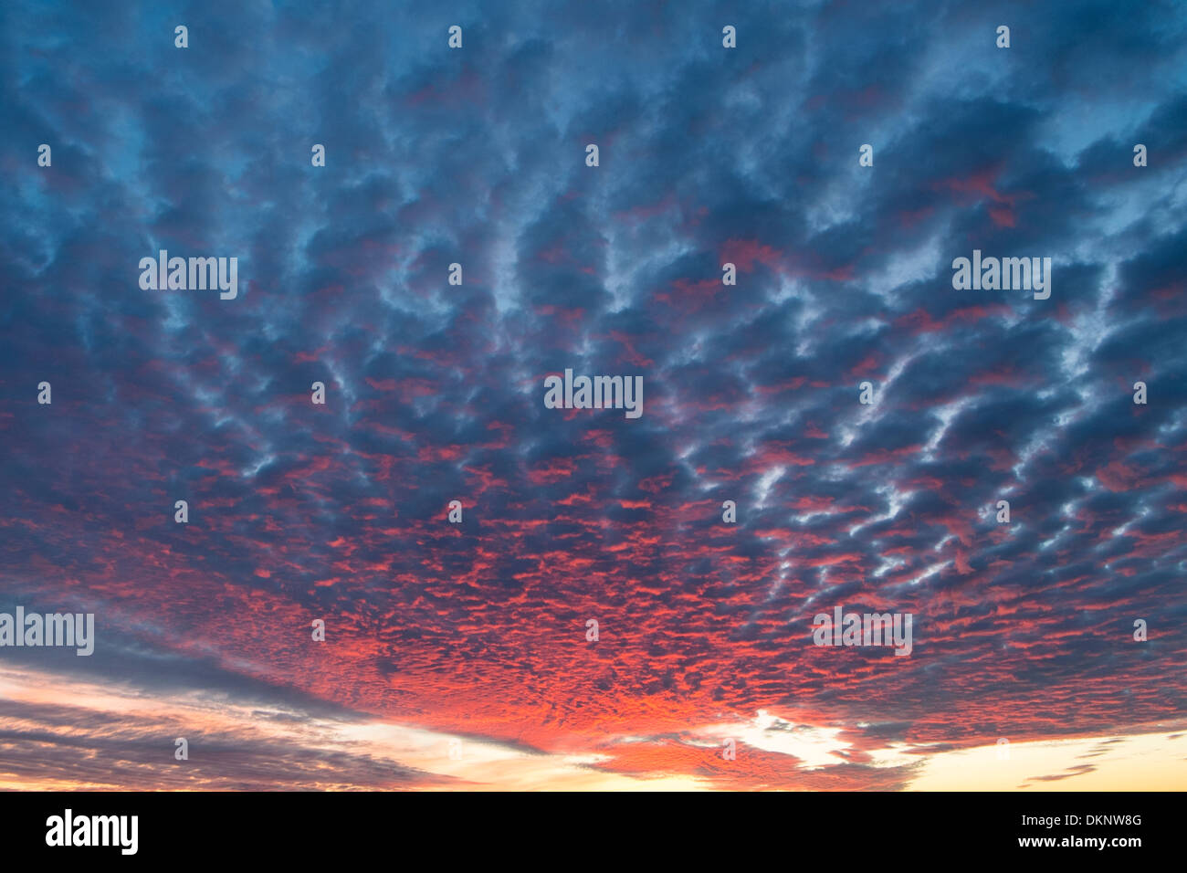 Altocumulus Wolke Stockfoto