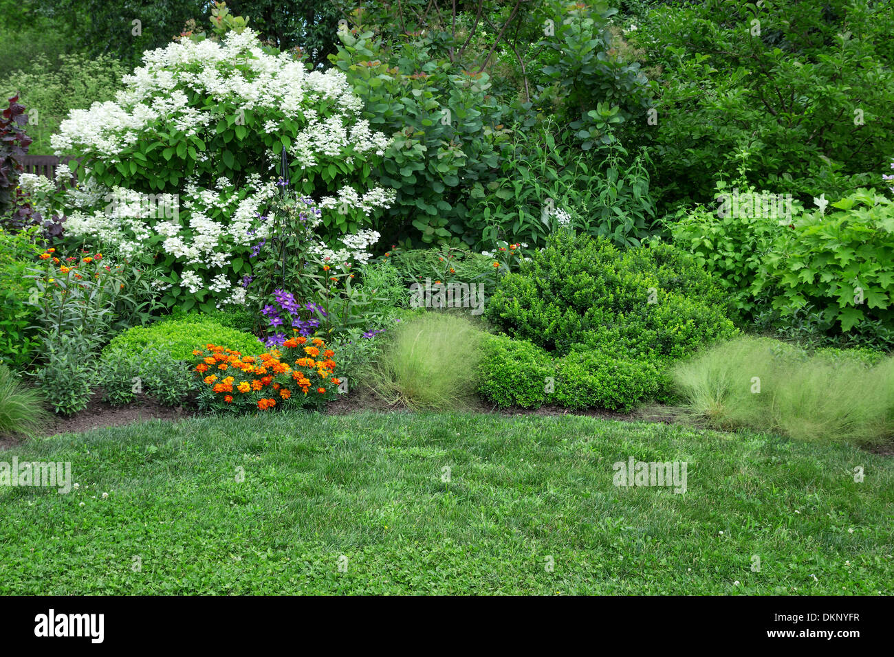 Schön blühenden Sommergarten mit grünen Rasen. Stockfoto