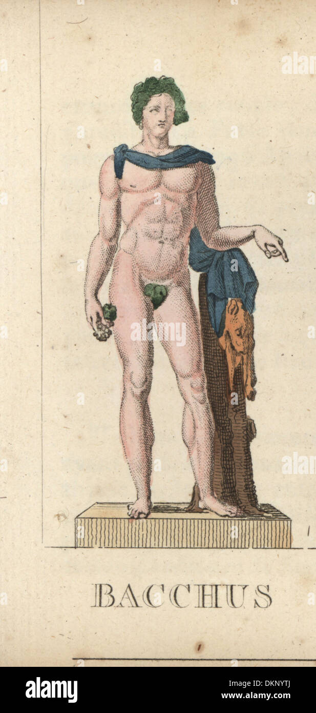 Bacchus, der römische Gott des Weines, mit Trauben und Leopardenfell. Stockfoto