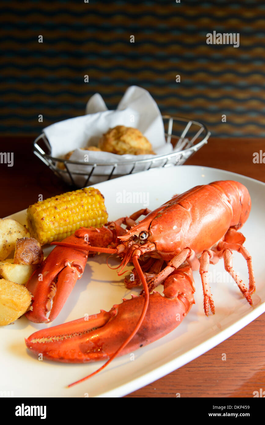 Geröstete live marine rot Hummer auf Teller serviert Stockfoto
