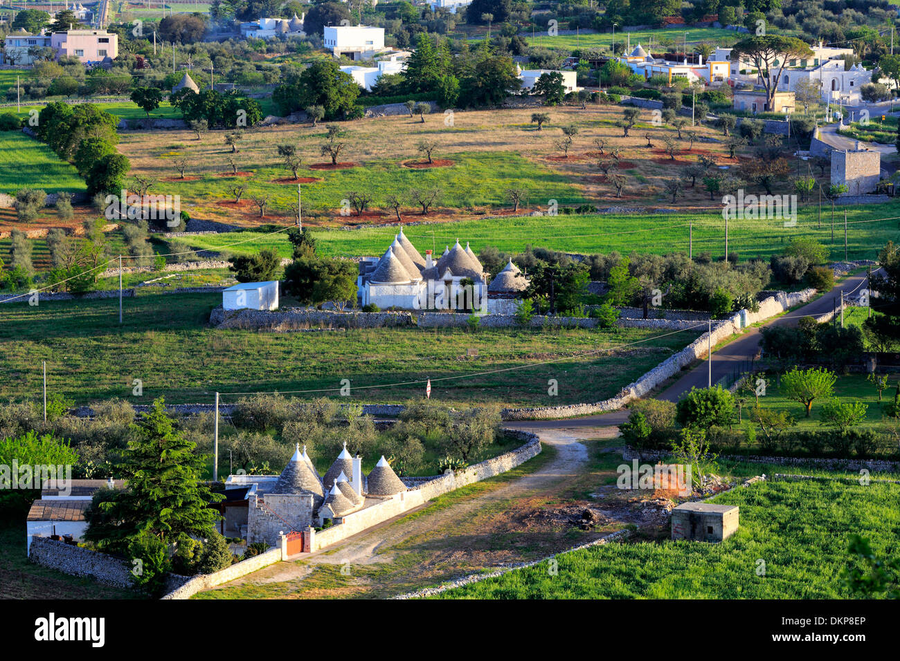 Landschaft, Locorotondo, Apulien, Italien Stockfoto