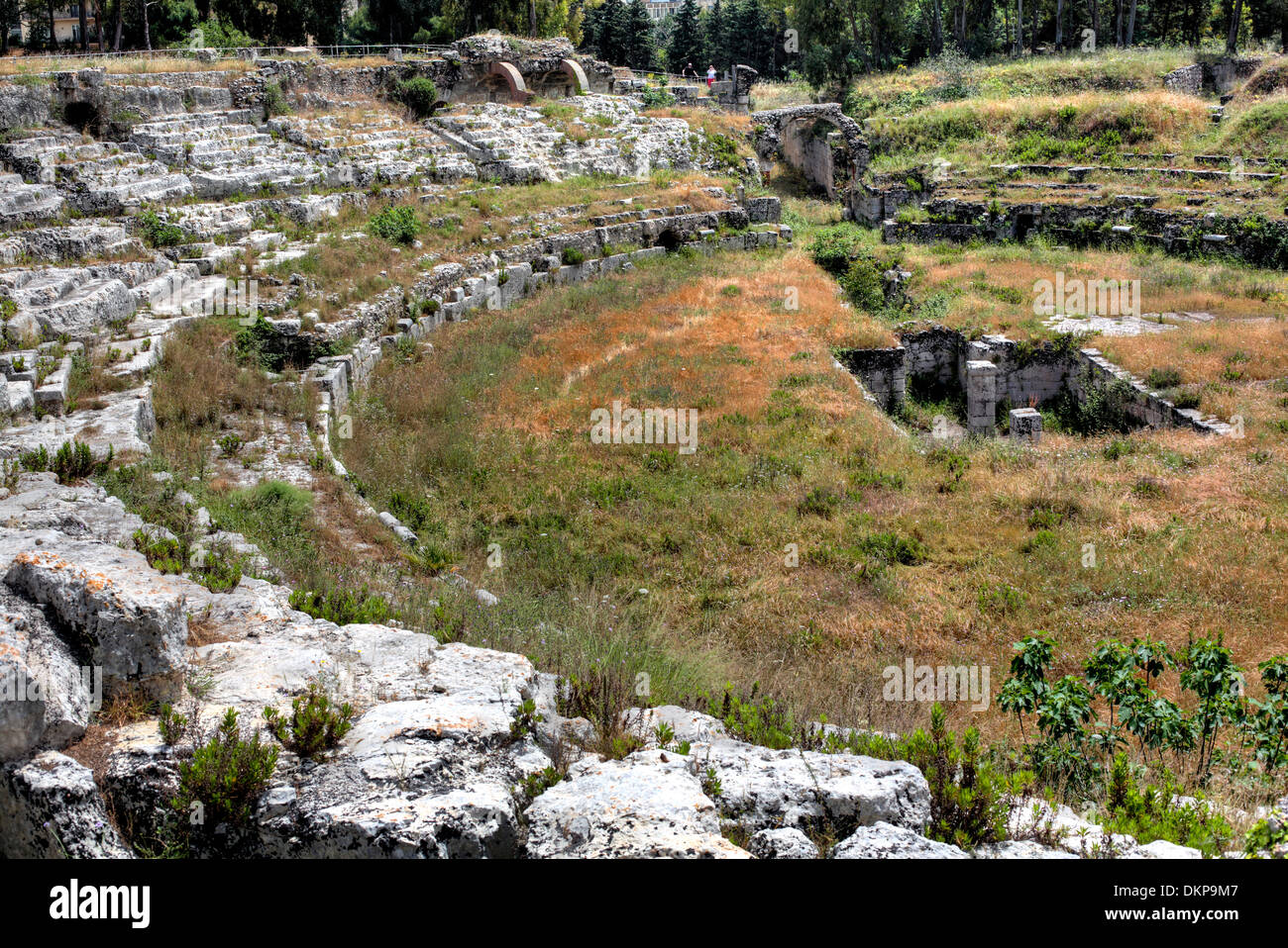 Römisches Amphitheater, Syrakus, Sizilien, Italien Stockfoto