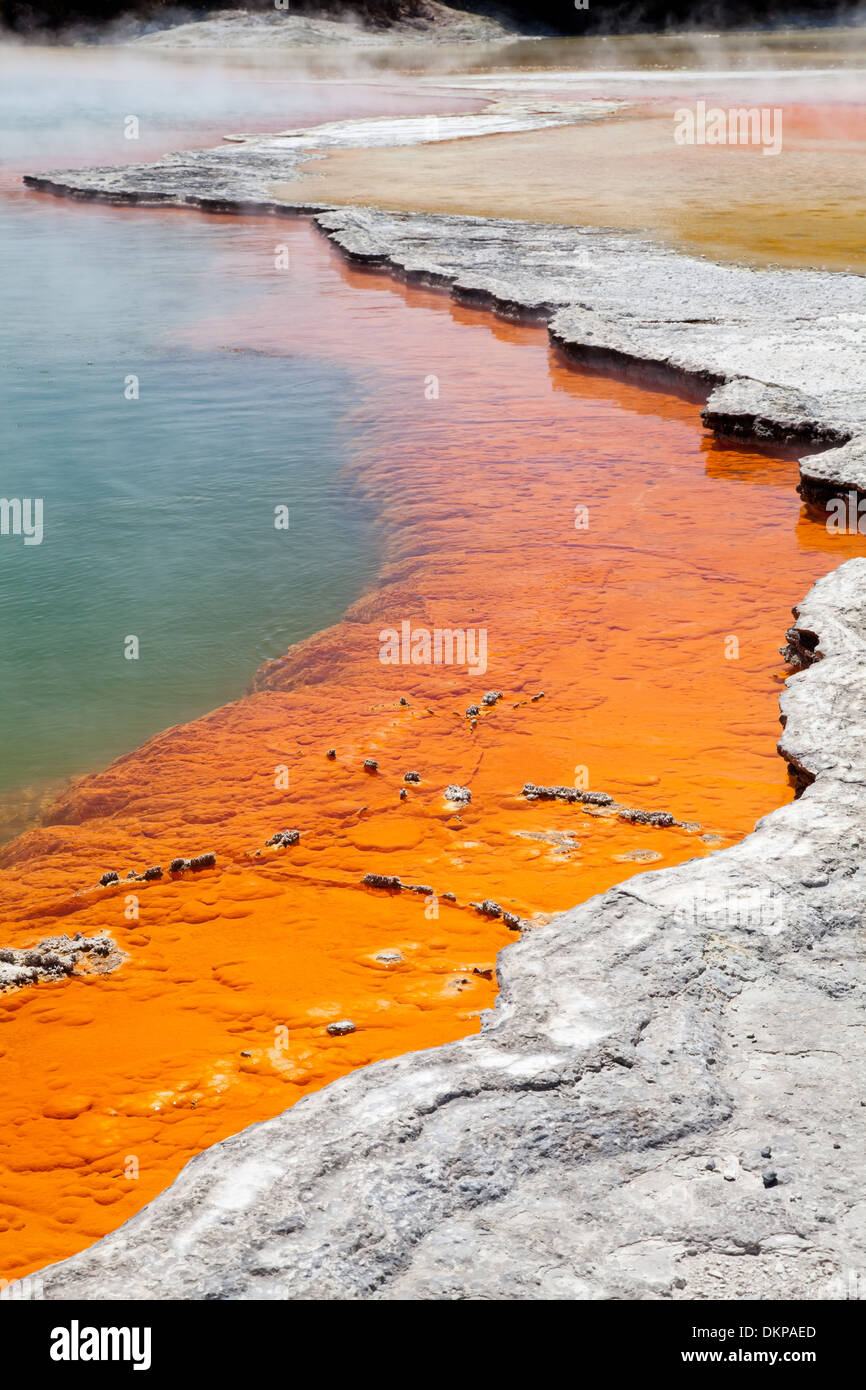 Champagne Pool im Wai-O-Tapu Geothermal Wonderland, Rotorua, Neuseeland. Stockfoto