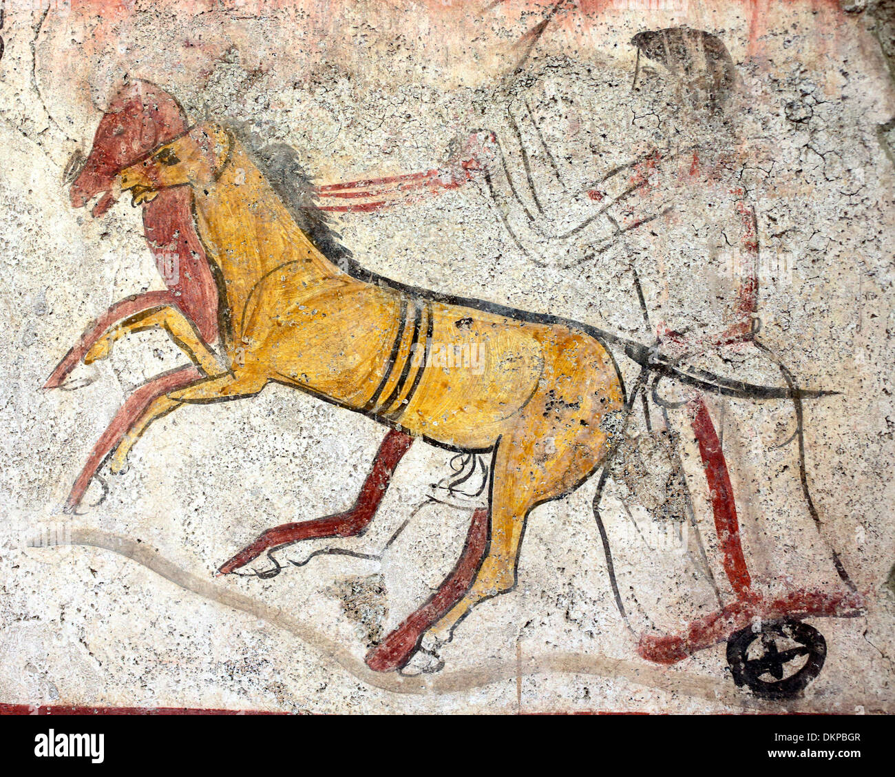 Antike griechische Streitwagen, Wandmalerei, Archäologisches Museum, Paestum, Kampanien, Italien Stockfoto