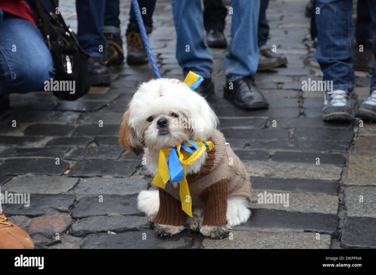 Kiew, Ukraine. 8. Dezember 2013. Kontinuierliche Massenprotest in der ukrainischen Hauptstadt Credit: OlegMit/Alamy Live News Stockfoto