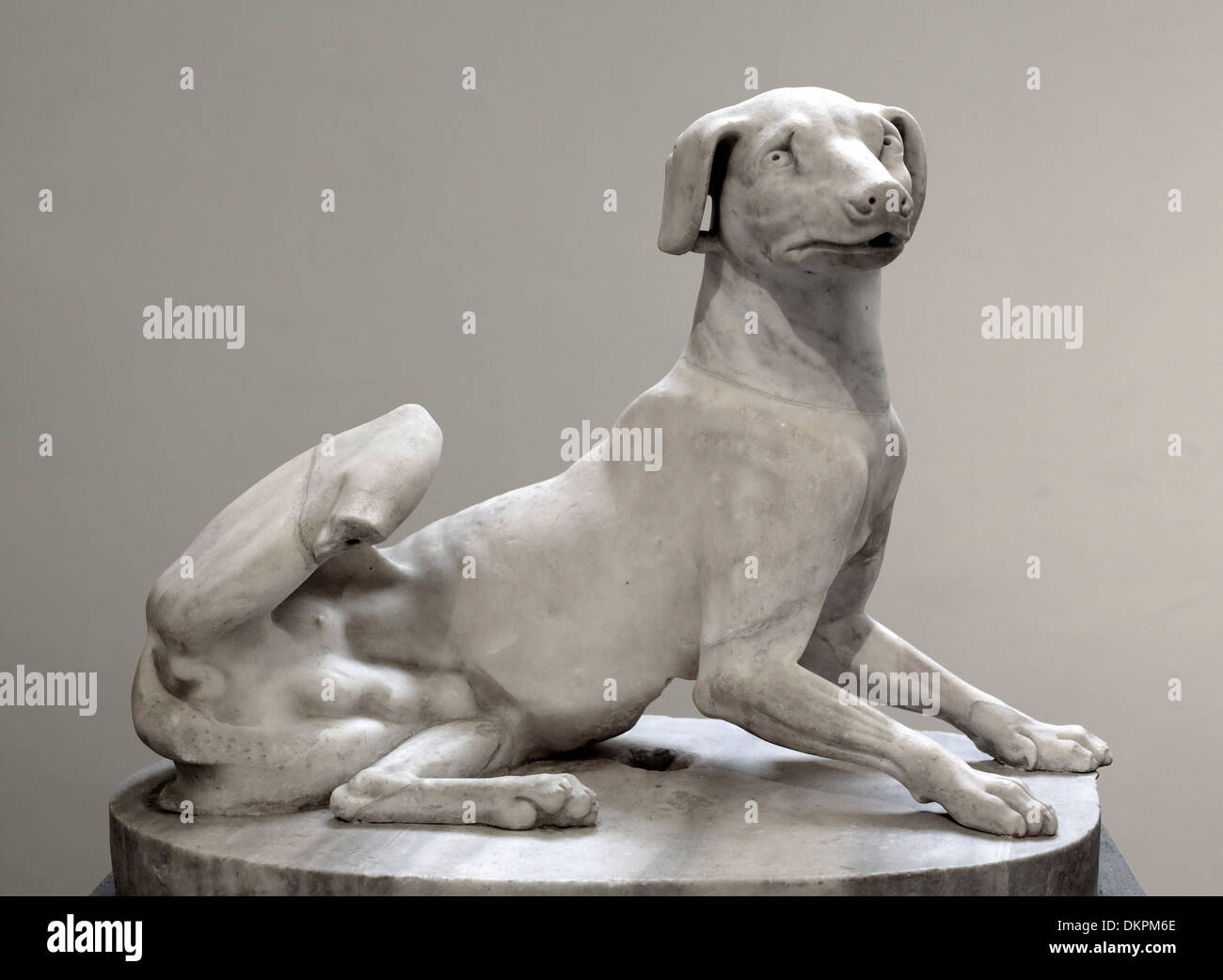 Museum Mit Hund In Der Nähe National archaeological museum naples -Fotos und -Bildmaterial in hoher