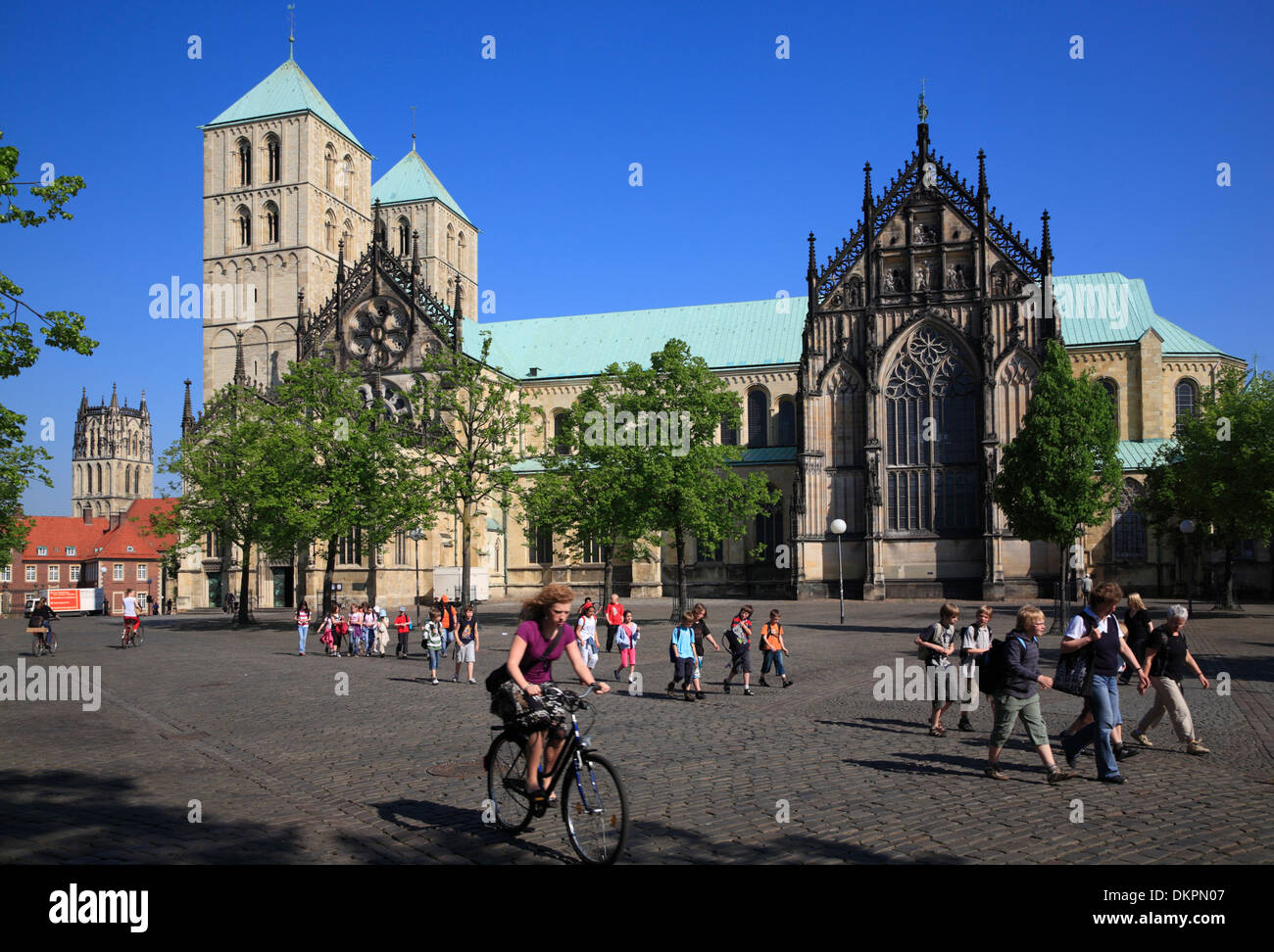 Münster Cathedral, Münsterland, Nordrhein Westfalen, Deutschland Stockfoto