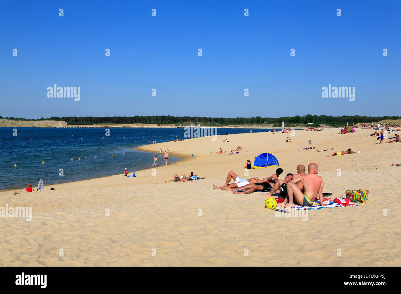 Single haltern am see