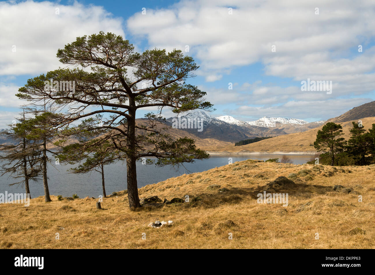 Loch Quoich, Hochlandregion, Schottland, UK. Stockfoto