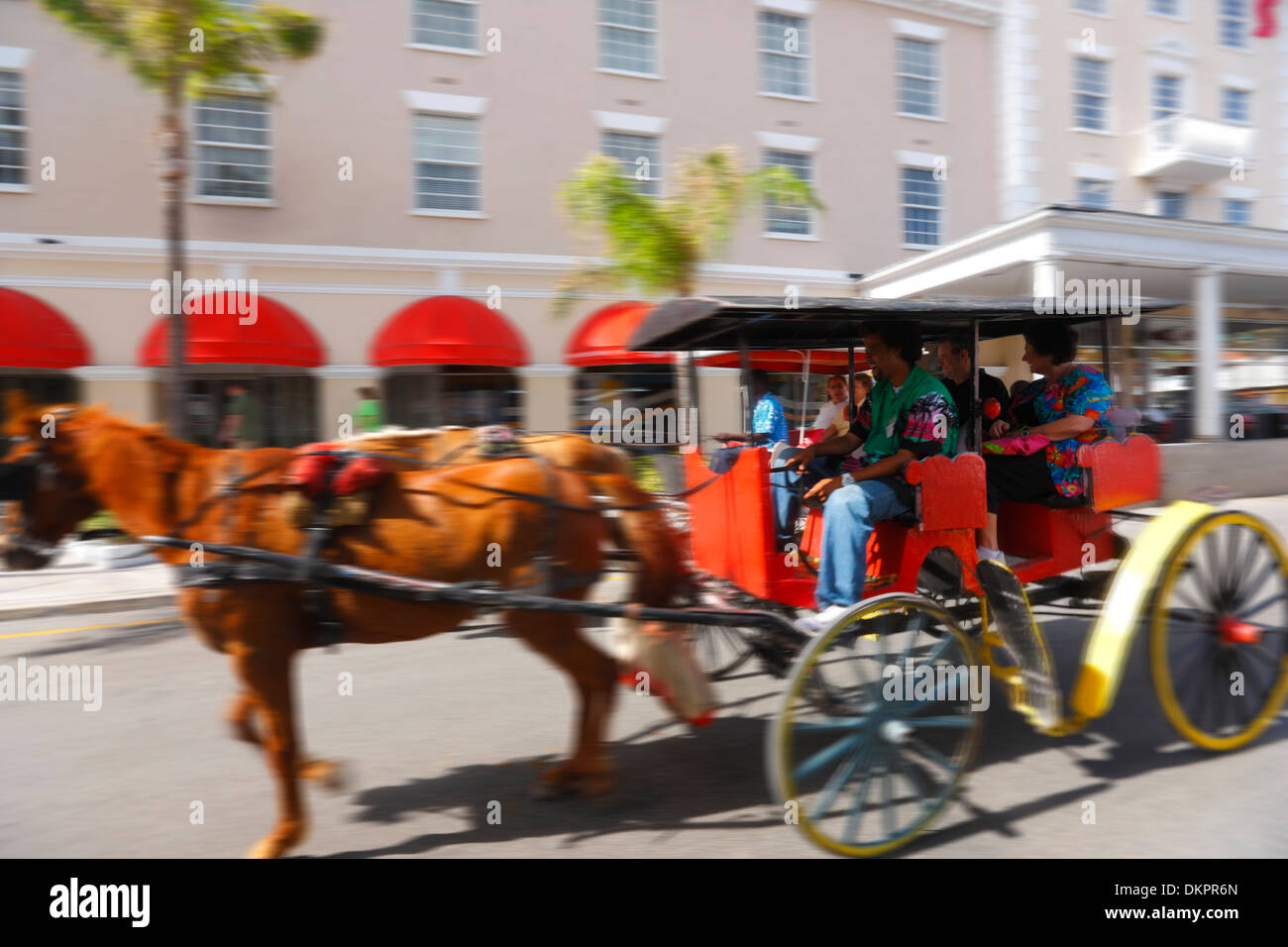 Nassau Bahamas, Pferdekutsche; Stockfoto