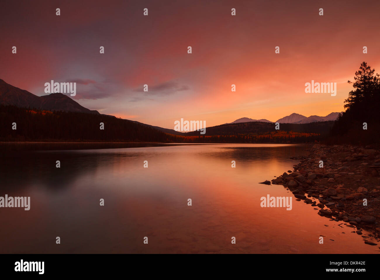 Sonnenaufgang über Patricia Lake, Jasper, Alberta, Kanada Stockfoto