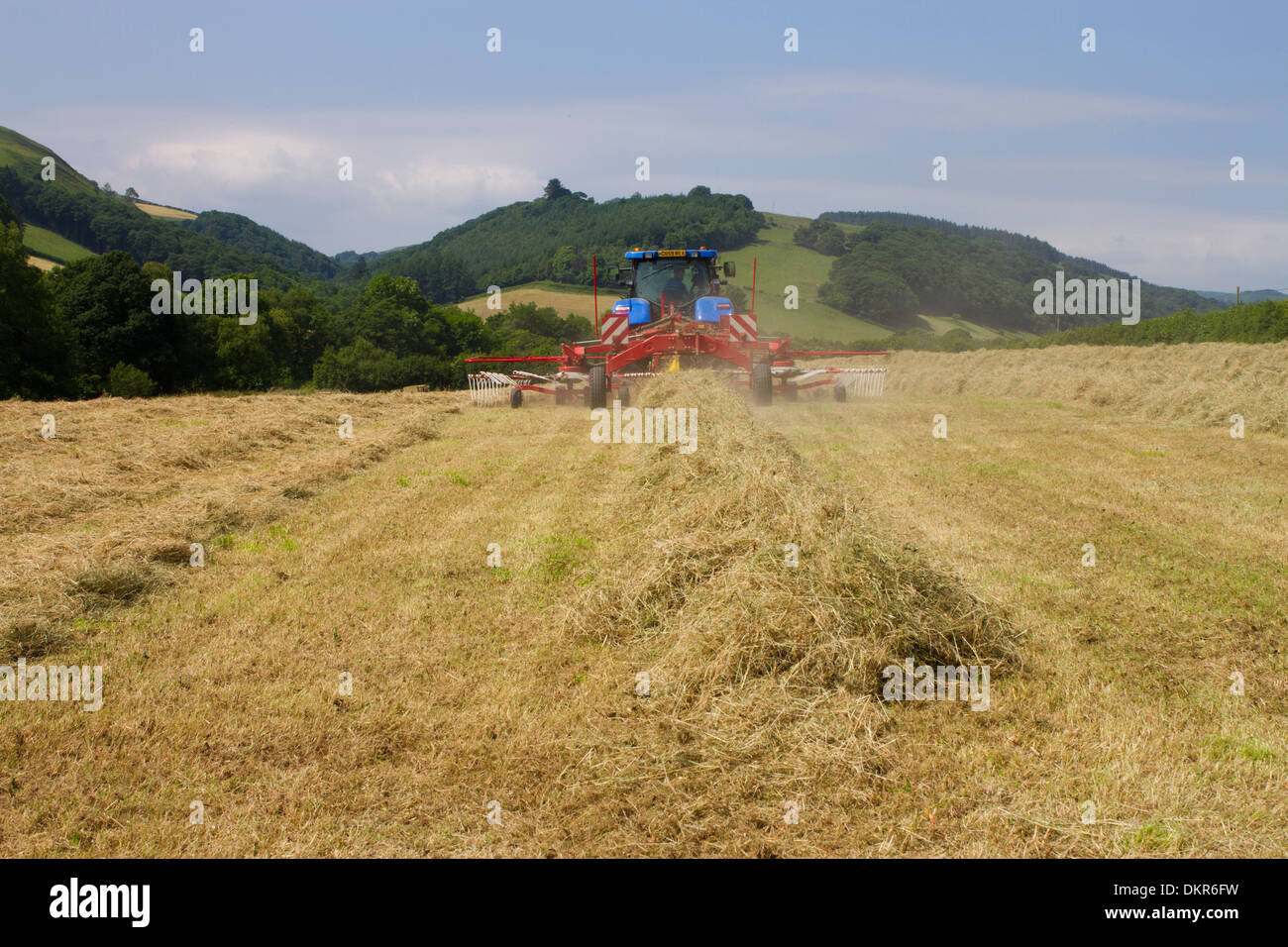 Auftragnehmer mit einem Traktor von New Holland T7030 und einen SIP-Heu-Rechen, Rechen Heu Pressen auf einem Bio-Bauernhof. Powys, Wales. Juli. Stockfoto