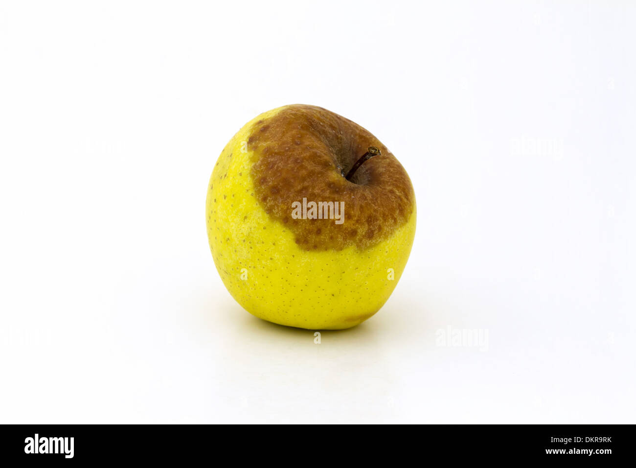 Ungenießbare Apfel auf weißem Hintergrund Stockfoto