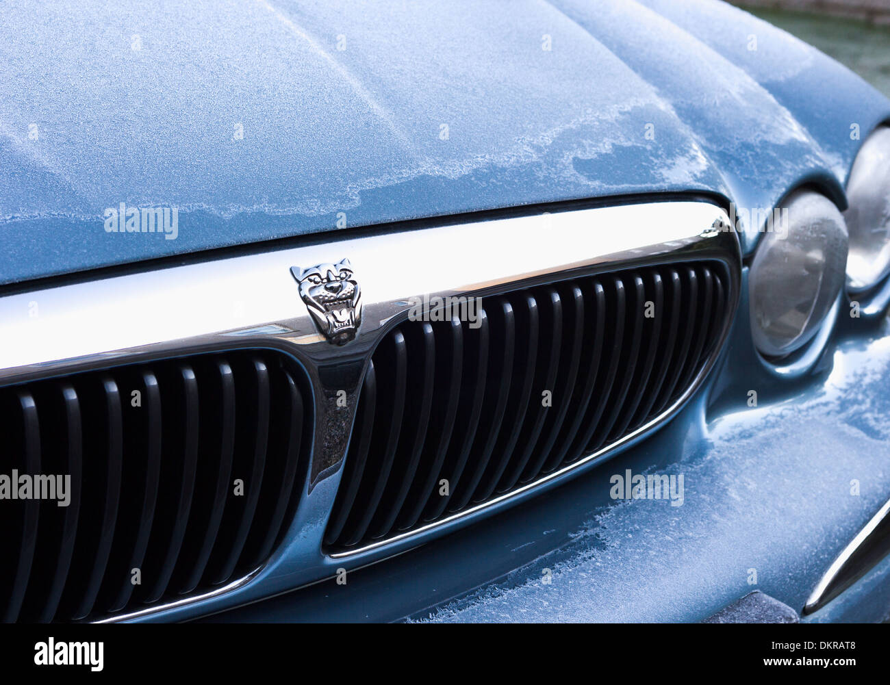 Jaguar Auto X Typ Motorhaube und grill Stockfoto