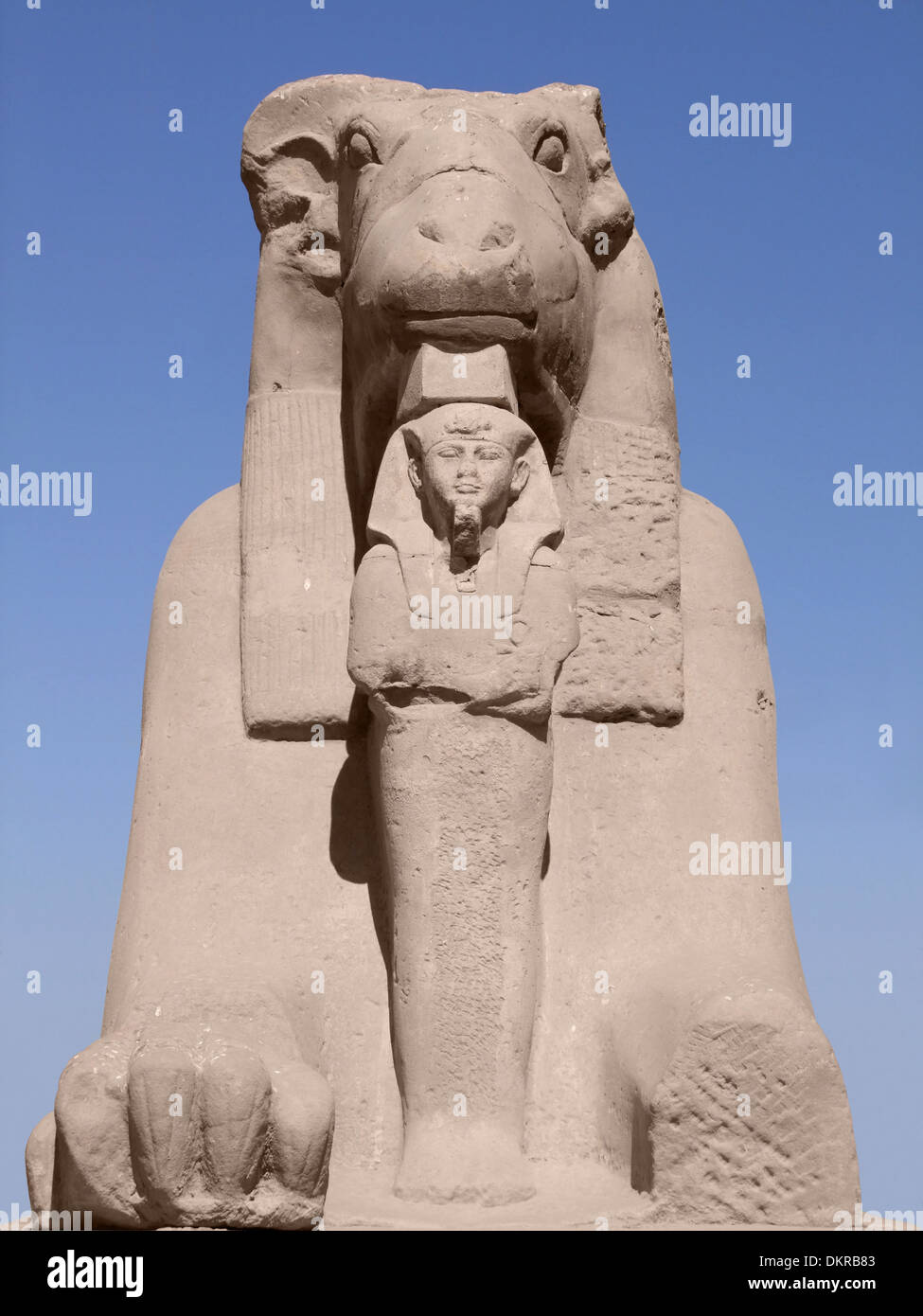 frontale Aufnahme einer Widderköpfige Sphinx Stein in Ägypten Stockfoto